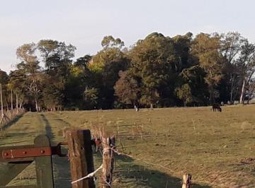 Campo , Punta Indio · Campo Chacra en Venta de 32 Ha en Álvarez Jonte