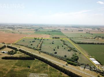 Campo · 570000m² · Campo - Zarate