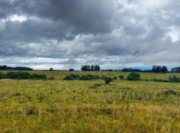 Foto1 · Campo en Medellin