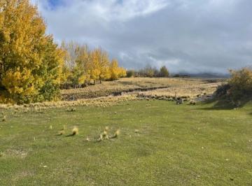 Campo , Tupungato · Estancia en La Carrera - Tupungato