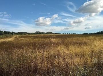 Terreno · 10000000m² · Venta de 1000ha, Zona Agrícola, La Numancia