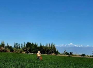 Campo · 20ha · Finca en Lavalle