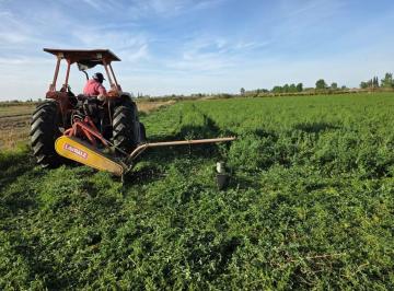 Campo · 200000ha · Finca en Lavalle