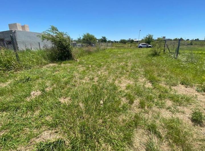 Terreno · 303m²