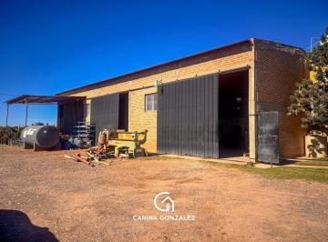 Bodega-Galpón · 314m² · 5 Ambientes · Galpón Parque Industrial Plottier