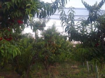 JSP-JS1-4843_2 · Venta Oportunidad Única: Finca Productiva con Potencial Turístico en Rama Caída