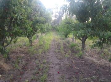 JSP-JS1-4843_2 · Venta Oportunidad Única: Finca Productiva con Potencial Turístico en Rama Caída