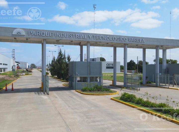 Desarrollo vertical · Pitec 2 Parque Industrial Florencio Varela