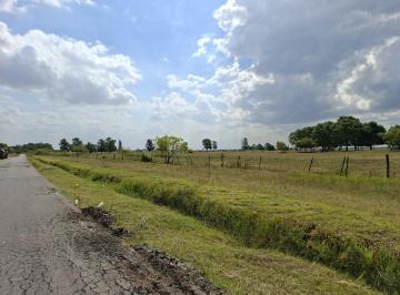 Campo · 1000000m² · Venta Campo El Cazador Escobar
