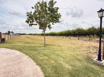 Terreno · 1332m² · ¡Sumérgete en El Apasionante Mundo de La Federala, Donde Tus Sueños Cobrarán Vida Como Nunca Antes!