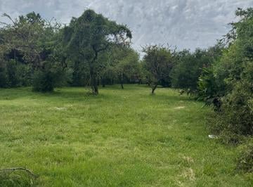 Foto · Se Vende Hermoso Lote en El Talar de Mendiolaza