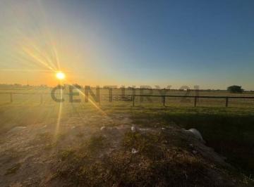 Terreno · 1000m² · Venta Lote 1 Ha en Chacras de La Trinidad Polo & Country Club