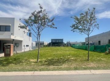 WhatsApp Image 2026-01-14 at 10.22.21 (1).jpeg · Venta Lote Interno Barrio San Pablo Pilar