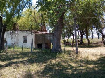 APF-APF-81_2 · Campo 550 Hectáreas |. | Ruta 3 Km 45