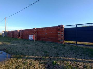 MUP-MUP-1478_2 · Lote. | Grito de Alcorta