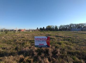 MUP-MUP-1473_2 · Lote. | Grito de Alcorta
