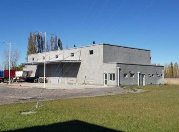 MED-MED-189_2 · Alquilo Galpón 400 m² C/oficina