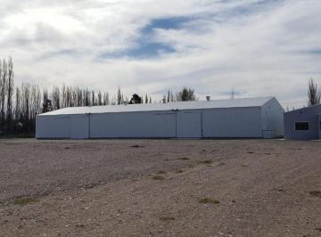 MED-MED-142_2 · Alquilo Galpón 1200 m² 300 m² Ofi y Predio 1 Hecta Calle Rio