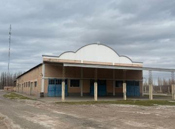 MED-MED-87_2 · Alquiler Galpón 1700 m² - Predio 7500 m² C/ Oficina