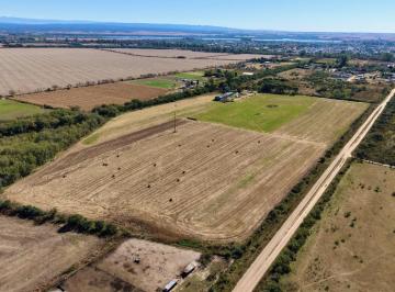 Campo · 600ha · Campo en Zona Sur, Almafuerte