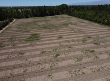 Terreno · 2000m² · Lotes en Callejón Lemos, Tunuyán, Mendoza