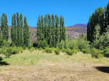 Campo · 60000m² · Chacra en Mallin Ahogado