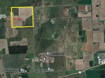FUG-RSF-590_2 · Campo - Perez