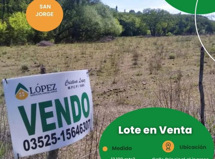 Terreno · 13100m²