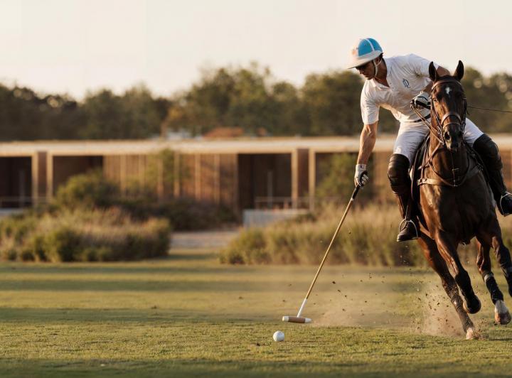 Desarrollo horizontal · La Dolfina Polo Ranch