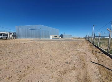 Bodega-Galpón · 450m² · 1 Ambiente · Galpón en Neuquen