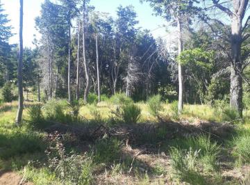Terreno · 1954m² · Lote Apto Emprendimiento Turístico, Sobre V. Bustillo Km 21 - Bariloche