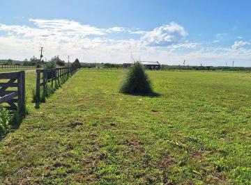 Campo · 15000m² · Chacra | Venta | Zarate |15000 m²