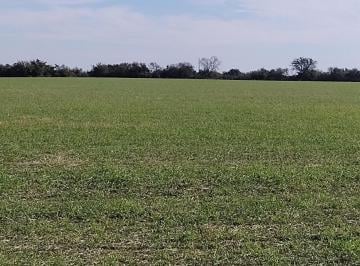Campo · 2240000m² · Se Vende Campo 224has La Paz E. R.