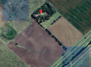 Campo · 69ha · Campo en Saladillo