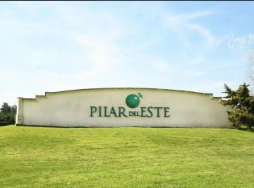 Terreno · 550m² · Pilar del Este - B° Santa Elisa