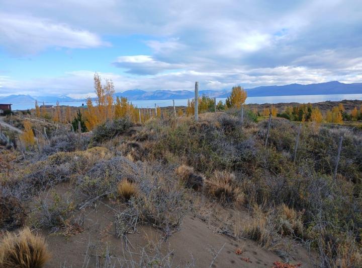 Terreno · 8040m²