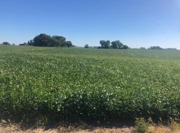 Campo · 2570000m² · Campo en Hale