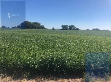 Campo · 2570000ha · Campo en Hale