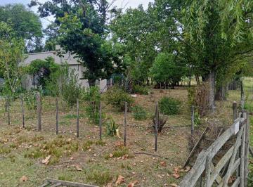 Campo · 110000ha · Campo en La Campana