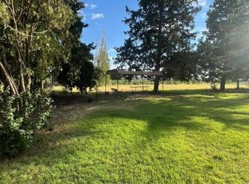 Campo · 160m² · 6 Ambientes · Venta Finca en Lujan de Cuyo