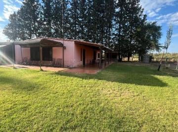 Campo · 160m² · 5 Dormitorios · Venta Finca en Lujan de Cuyo