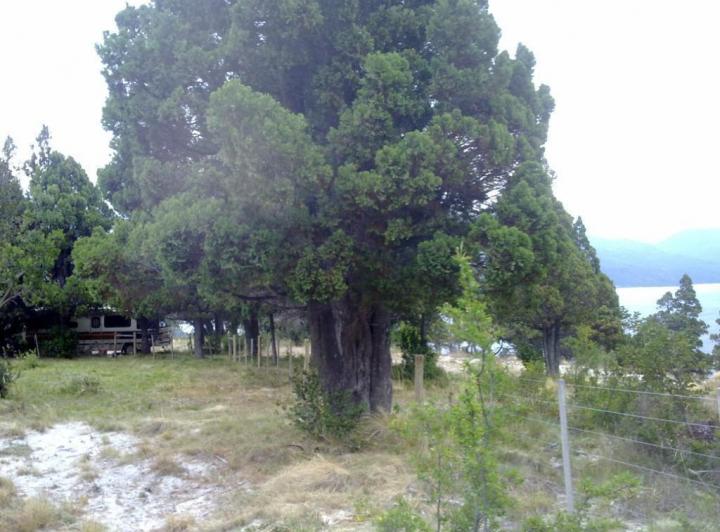 Terreno · 2000m²