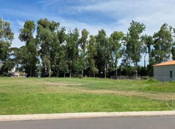 Terreno · 1000m² · Lote en Santa Ines