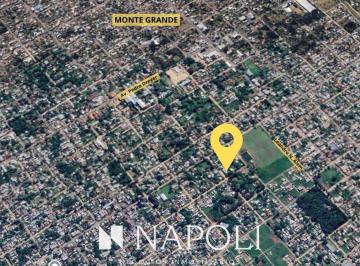 NNI-NNI-3665_2 · Lote en Venta en Monte Grande