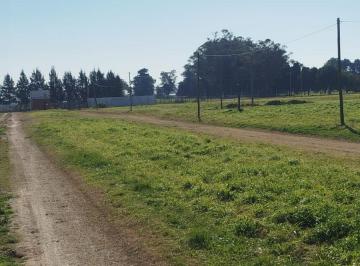 Terreno · 432m² · Loteo en Abasto Preventa Financiamiento 515 E Ruta 2 y Ruta 6