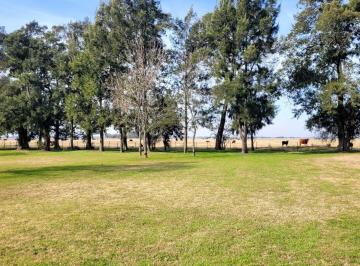 Campo · 7420000ha · Campo en San Vicente. Son 742 Hectáreas Aptas Desarrollos Inmobiliarios