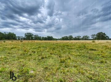Campo · 36000m² · Campo Ganadero