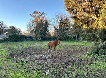 Terreno · 400m² · Terreno en Camet Norte X Ruta 2