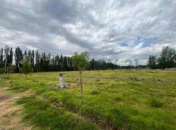 Terreno · 600m² · Terreno en B° Privado La Toscana - Gral. Roca