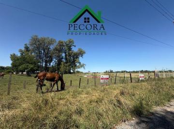 Terreno · 737m² · Terrenos - Pilar - Tomas m de Anchorena